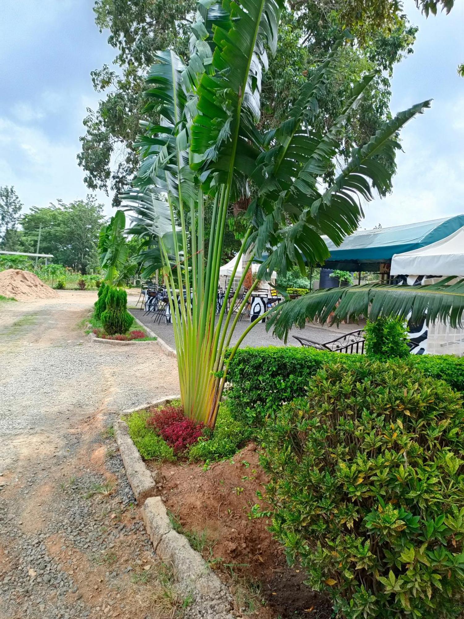 The Mara Resort Kitui Extérieur photo